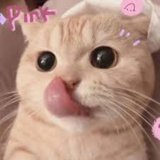 سید عادل avatar