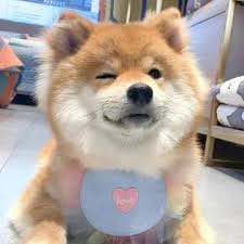 عمران خان avatar